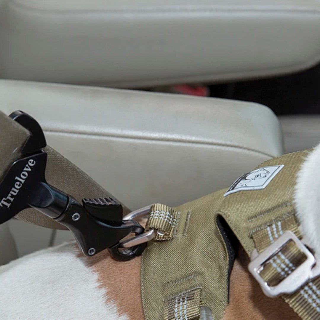 Cinturón de Seguridad para Perros, seguro, fácil y rápido
