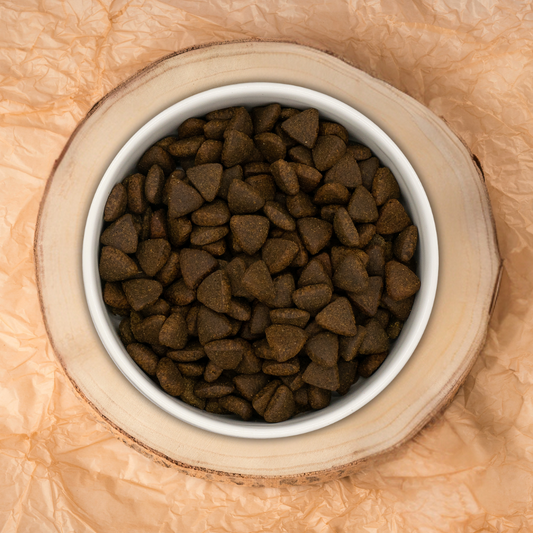 Pienso Grain Free perro mediano grande Salmón Escocés con eneldo, espinacas, hinojo, espárragos y tomate Naturalmente Feliz tamaño croqueta