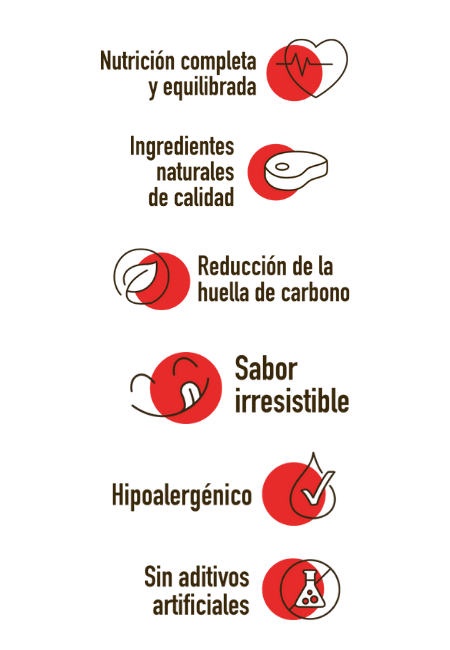 Infografía con seis íconos y texto en español: "Nutrición completa y equilibrada" con un ícono de corazón; "Ingredientes naturales de calidad" con un icono de loncha de carne; "Reducción de la huella de carbono" con un ícono de huella; "Sabor irresistible" con icono de lengua; "Hipoalergénico" con un icono de marca de verificación; "Sin aditivos artificiales" para Cocido Natural de Ternera fresca y verduras - Naturalmente Feliz (5,4KG - 12 X 450gr) de Naturalmente Feliz.