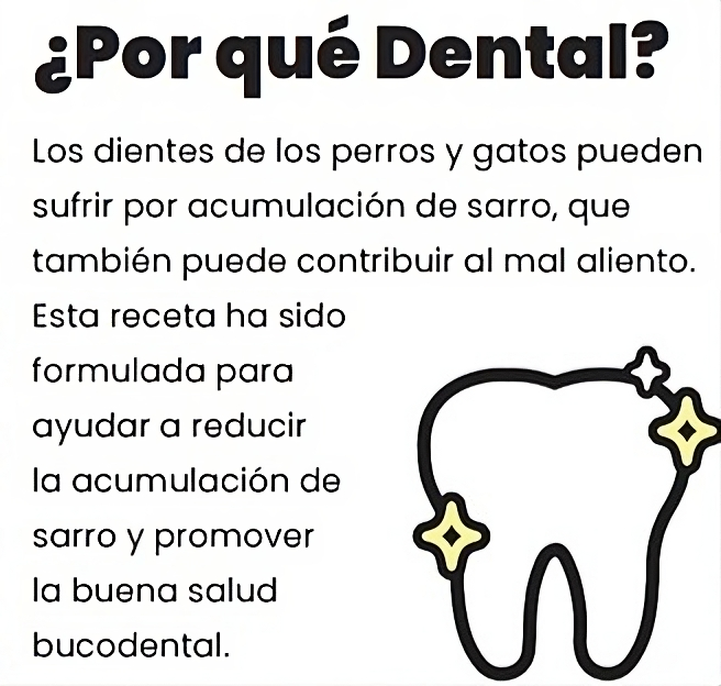 Snack Funcional Dental con Menta y Carbón activo: una opción deliciosa y saludable para la buena salud bucal de tu perro o gato