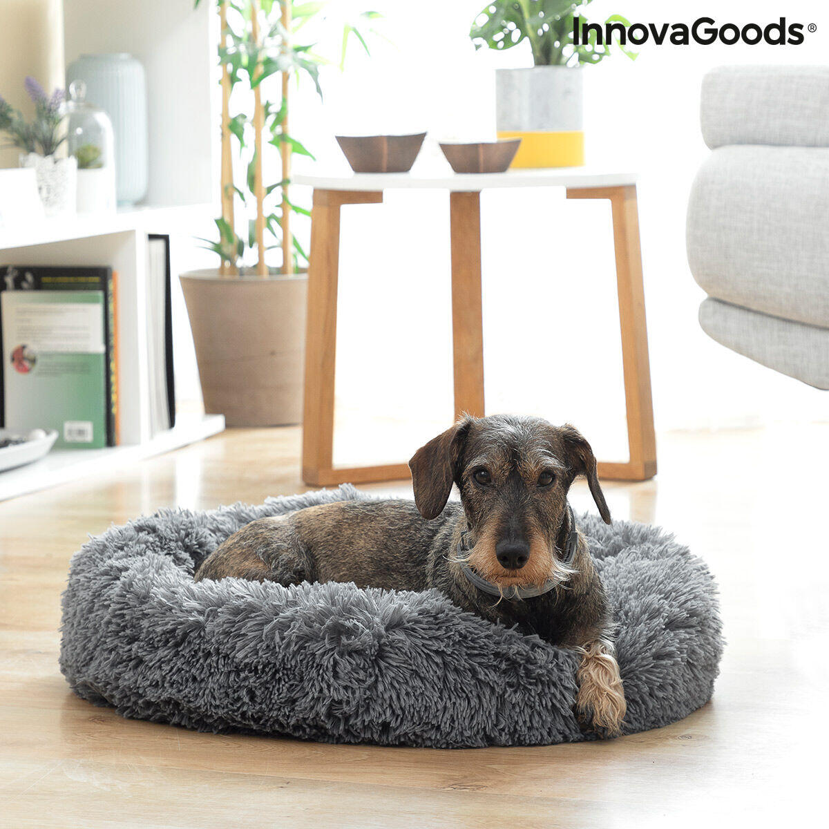 Cama Antiestrés para Mascotas (60 cm) – El Refugio Que Tu Peludo Necesita