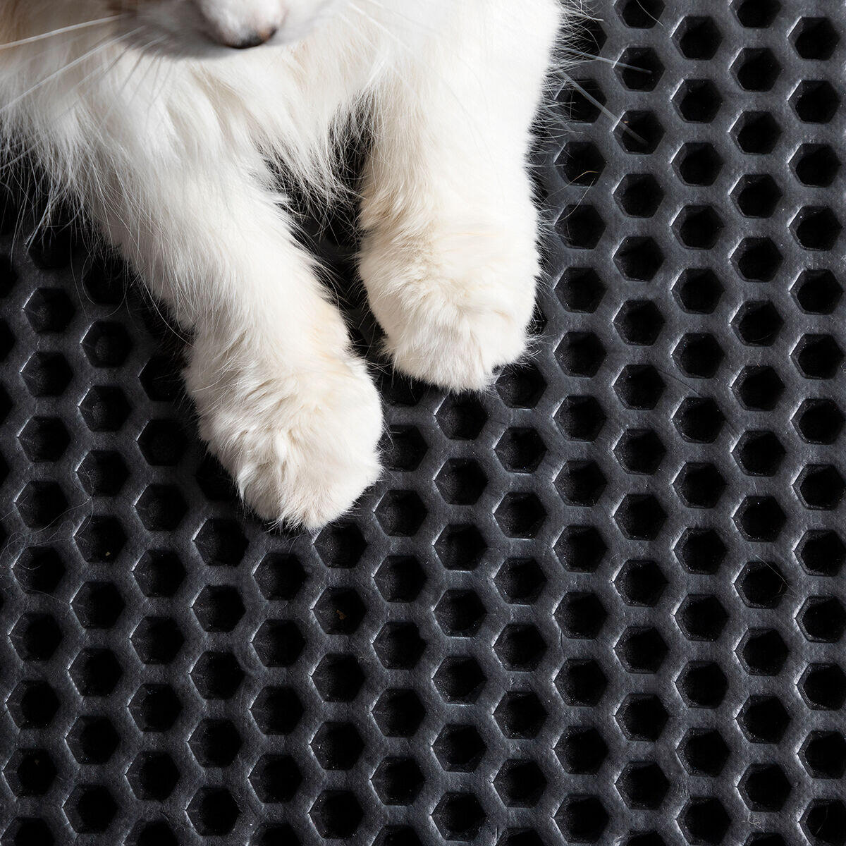 Alfombra para Arenero de Gatos – Adiós Arena por Toda la Casa