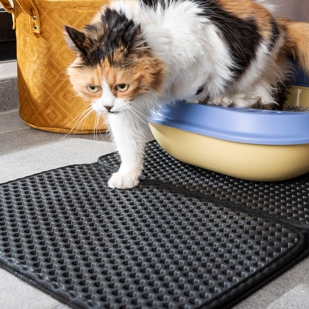 Alfombra para Arenero de Gatos – Adiós Arena por Toda la Casa
