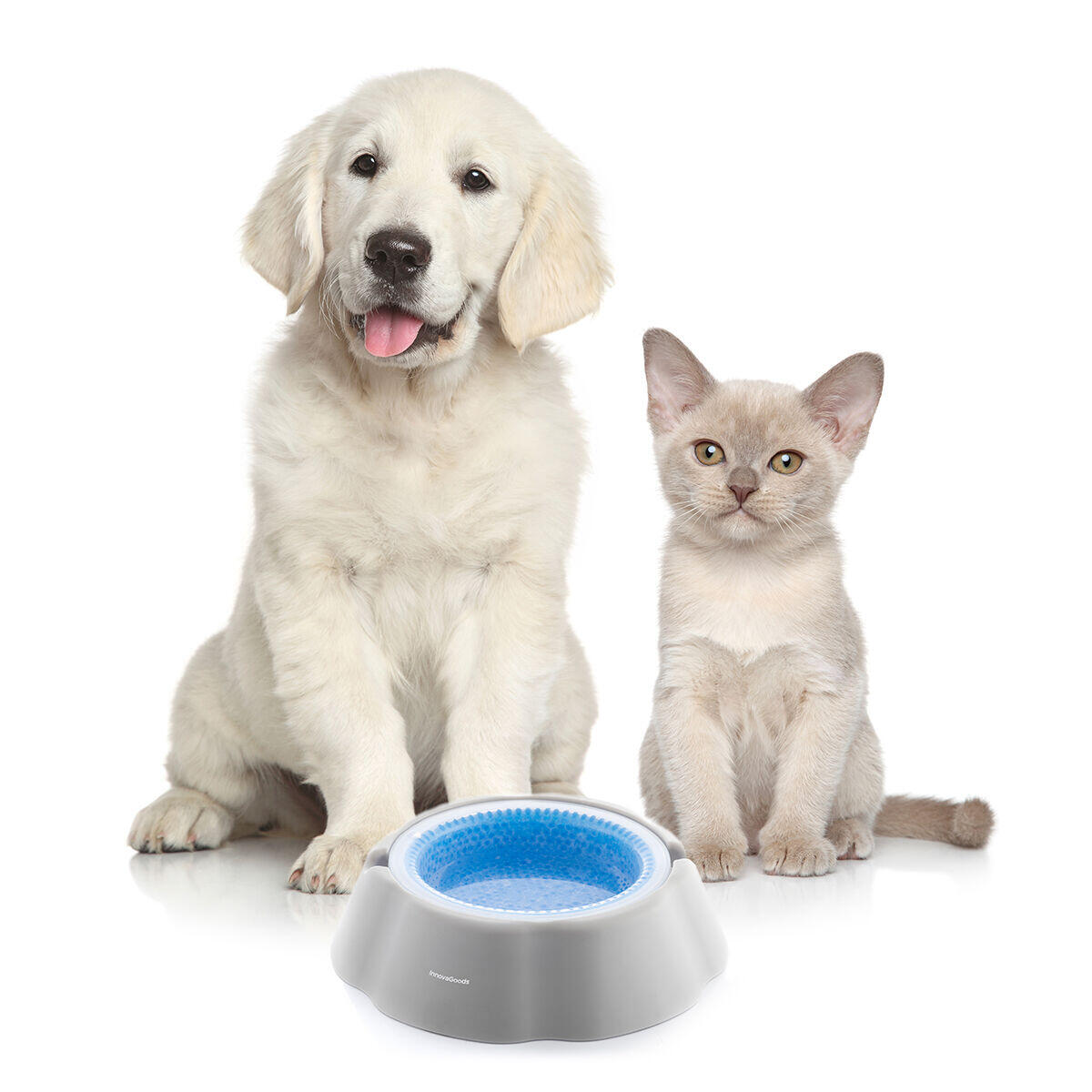 Bebedero Refrescante para Mascotas – Agua Siempre Fresca, Incluso en Verano
