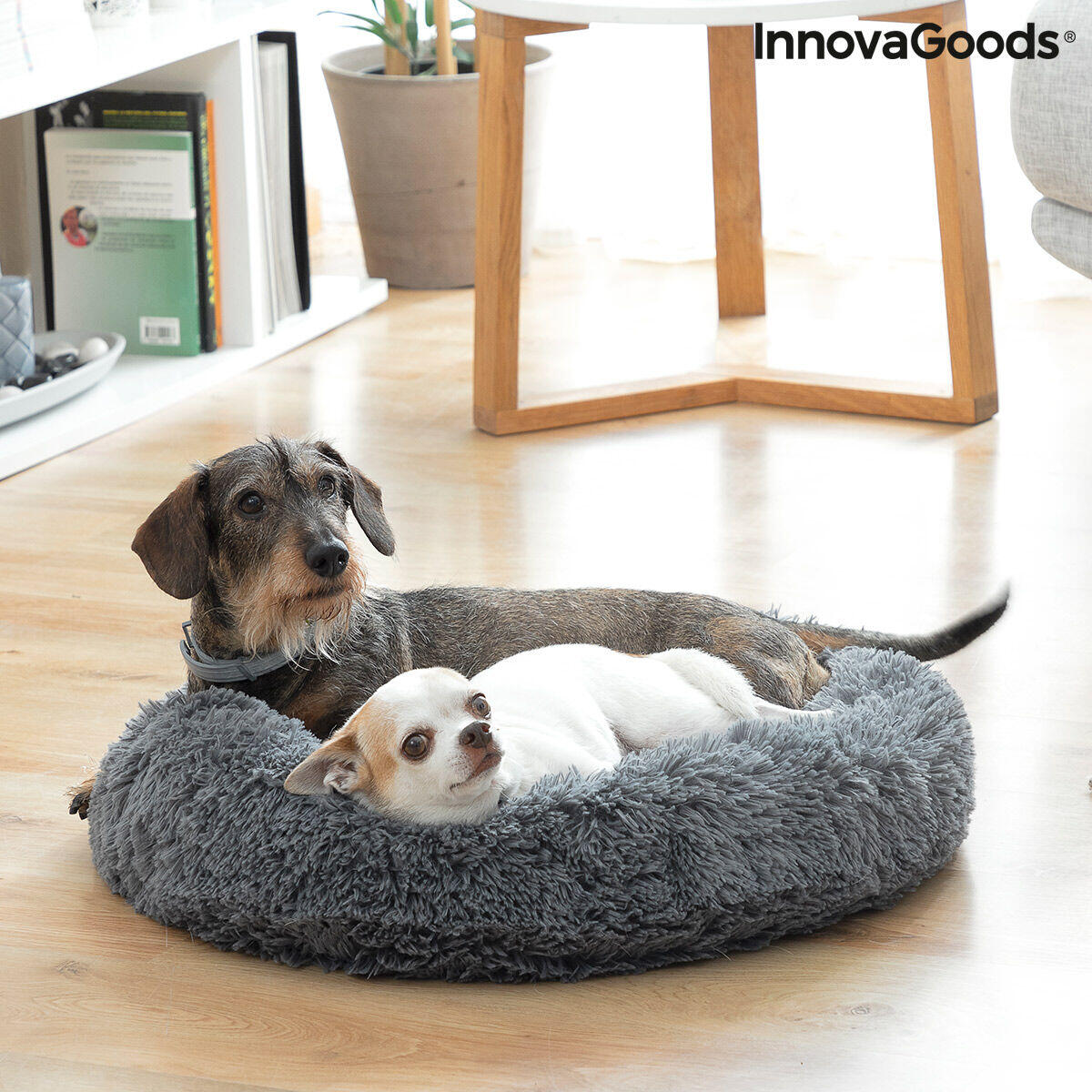 Cama Antiestrés para Mascotas (60 cm) – El Refugio Que Tu Peludo Necesita