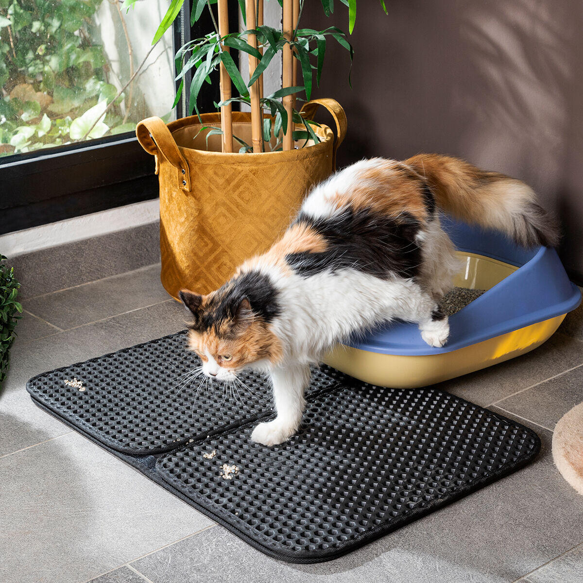 Alfombra para Arenero de Gatos – Adiós Arena por Toda la Casa