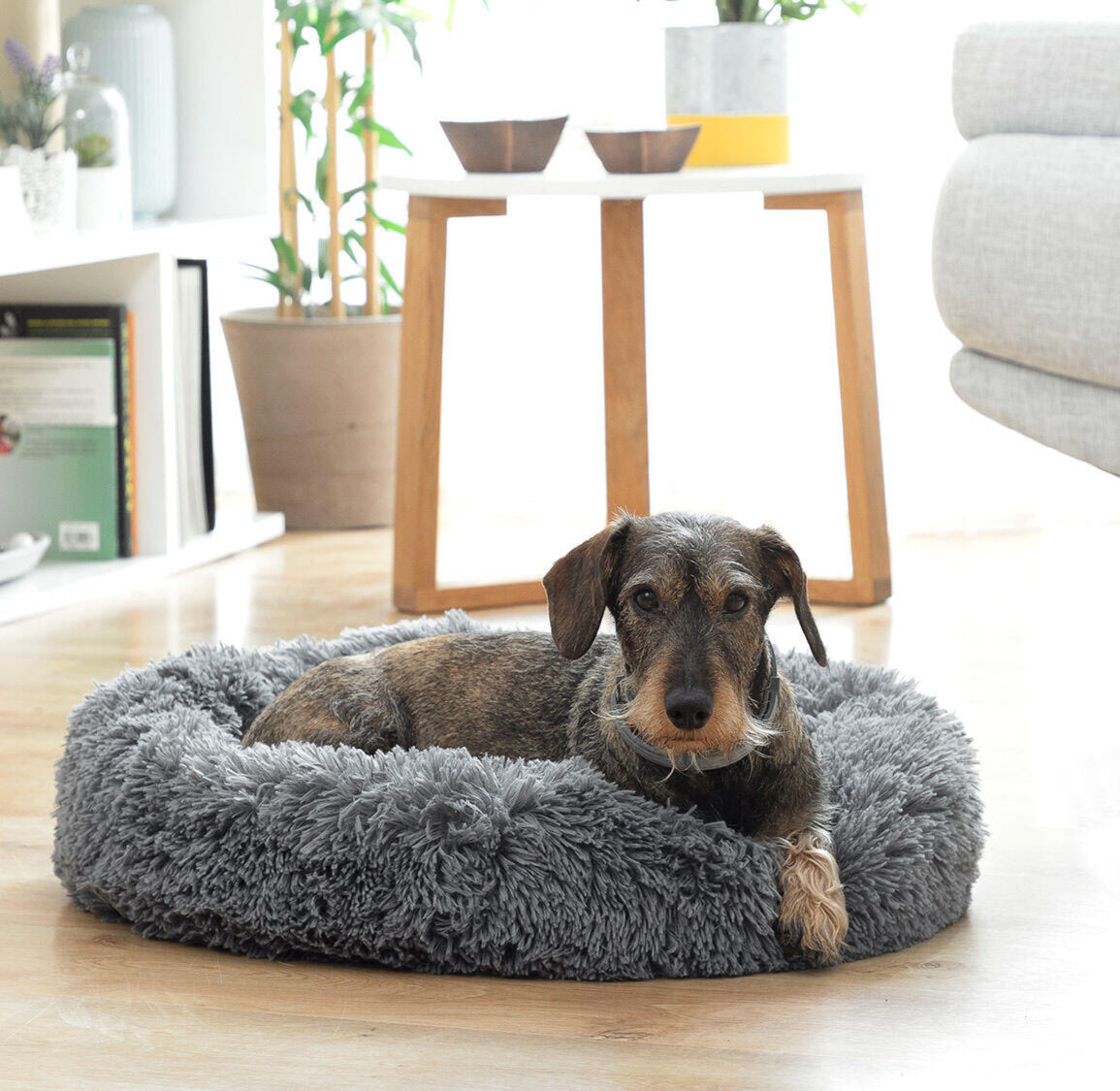 Cama Antiestrés para Mascotas (60 cm) – El Refugio Que Tu Peludo Necesita