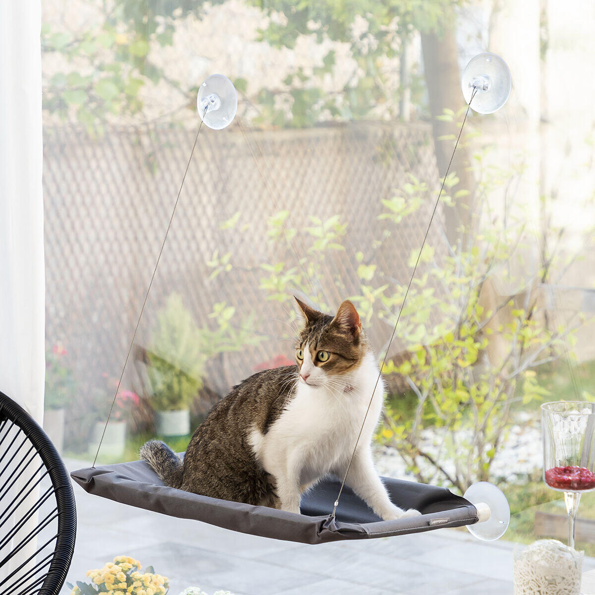 Hamaca Colgante para Gatos Catlax – Su Rincón Favorito con Vistas Incluidas