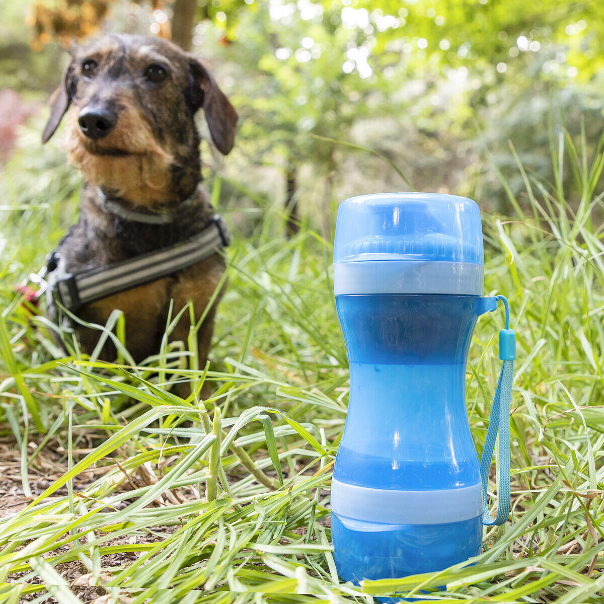 Botella con Depósito de Agua y Comida 2 en 1 – La Solución Inteligente para Paseos y Aventuras