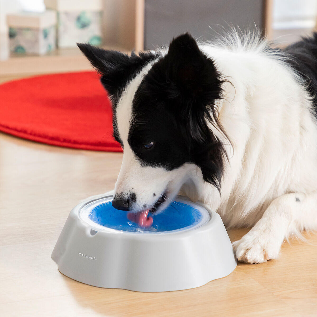 Bebedero Refrescante para Mascotas – Agua Siempre Fresca, Incluso en Verano