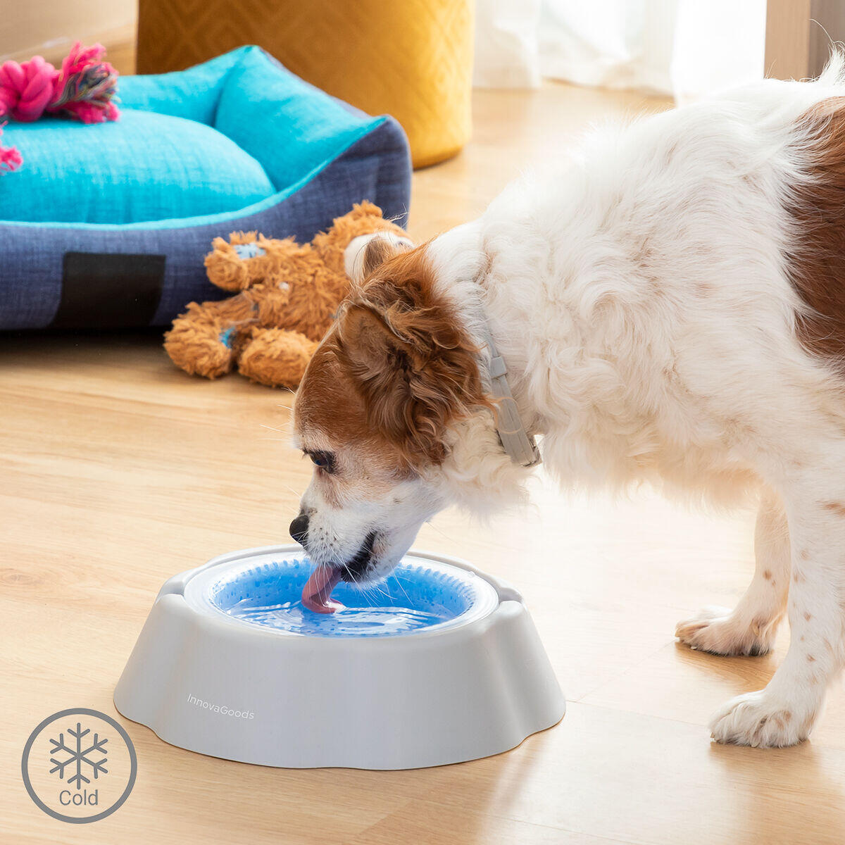 Bebedero Refrescante para Mascotas – Agua Siempre Fresca, Incluso en Verano