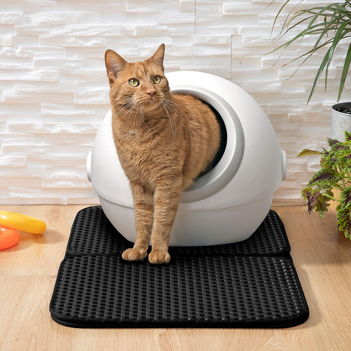 Alfombra para Arenero de Gatos – Adiós Arena por Toda la Casa