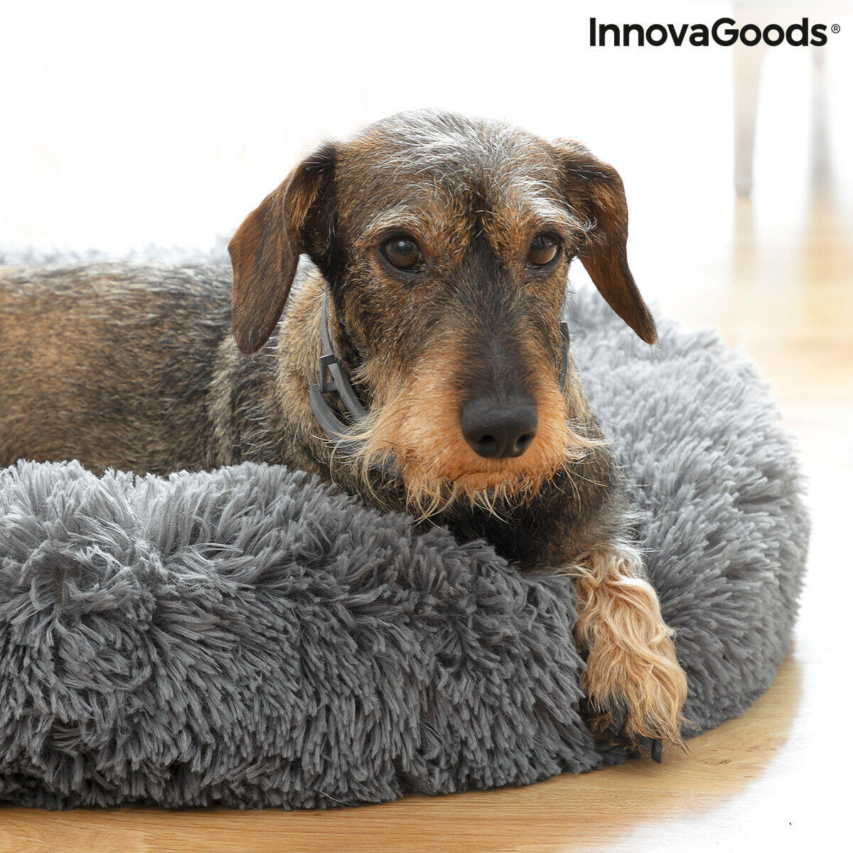 Cama Antiestrés para Mascotas (60 cm) – El Refugio Que Tu Peludo Necesita