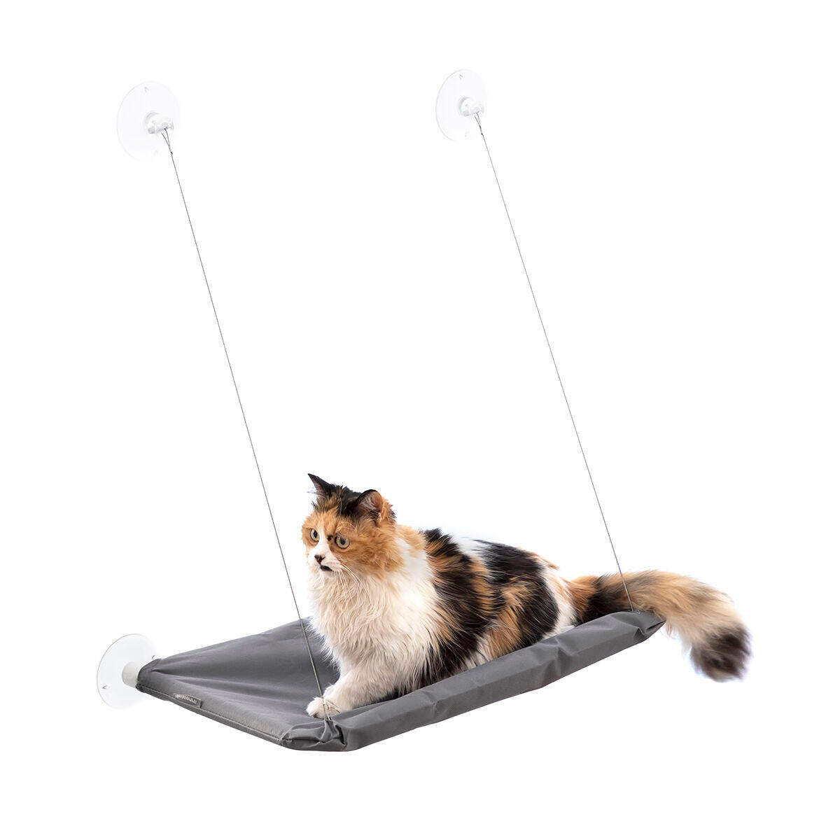 Hamaca Colgante para Gatos Catlax – Su Rincón Favorito con Vistas Incluidas