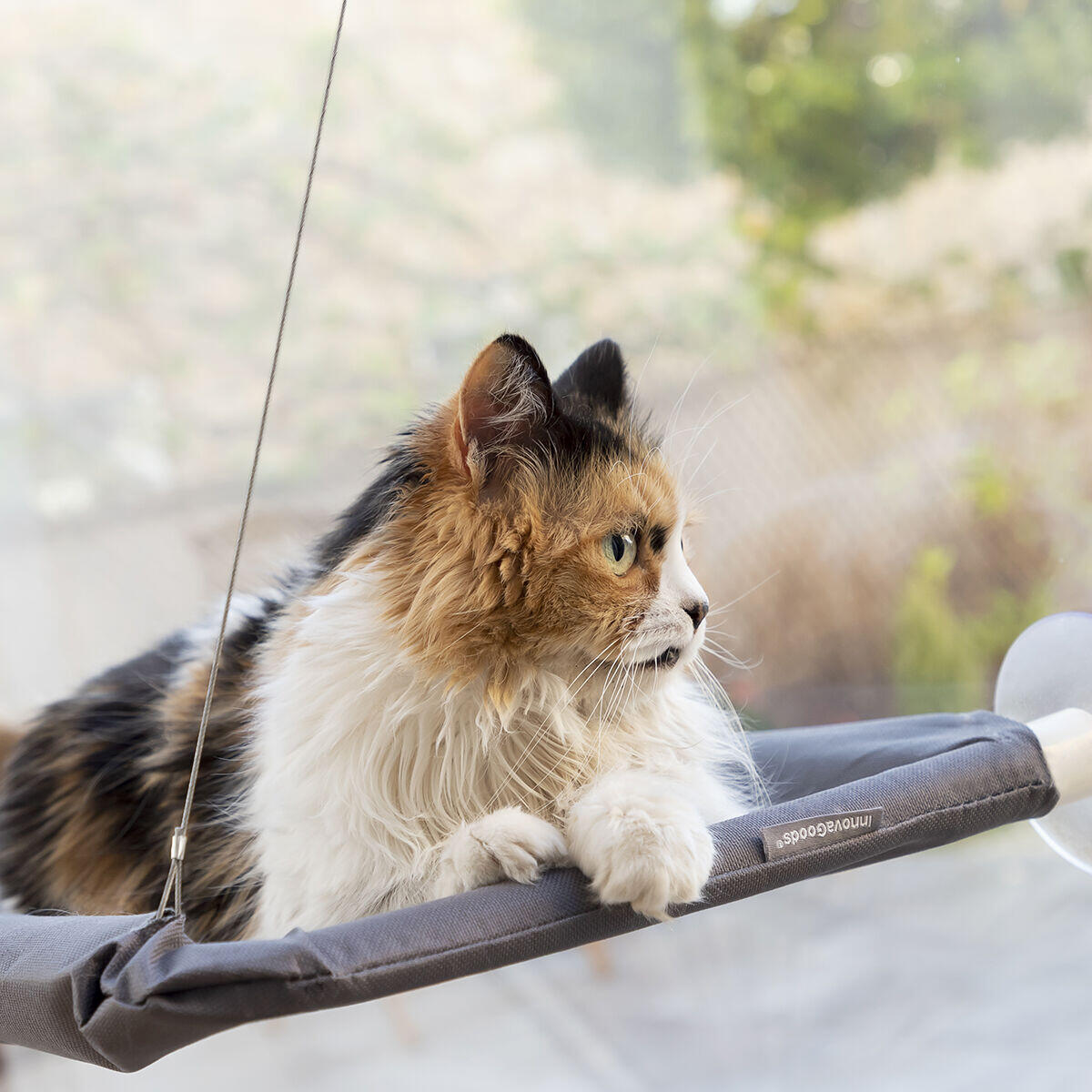 Hamaca Colgante para Gatos Catlax – Su Rincón Favorito con Vistas Incluidas