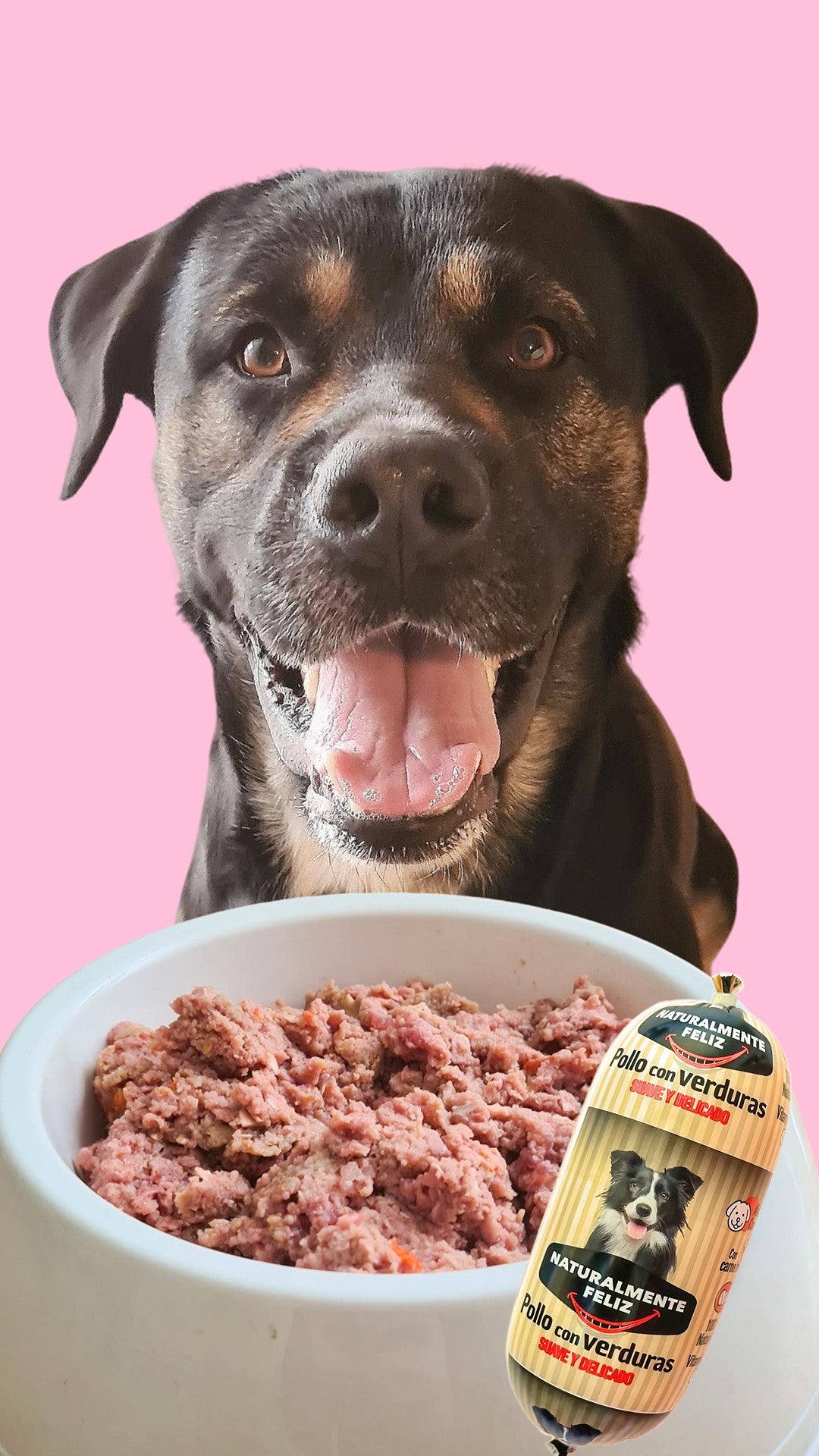 Se ve un feliz perro negro y marrón frente a un cuenco blanco lleno de una mezcla de comida para perros. A la derecha, hay un paquete de comida para perros "Cocido Natural de Pollo fresco y verduras - Naturalmente Feliz (5,4KG - 12 X 450gr)" con una etiqueta que indica que contiene pollo y verduras. El fondo es rosa. Esta comida húmeda completa contiene pollo recién preparado, asegurando una nutrición óptima para su mascota.