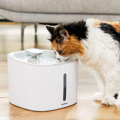 Fuente para Mascotas Drinkatt – Hidratación Inteligente, Silenciosa y con Estilo