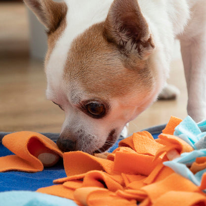 Alfombra Olfativa para Mascotas – Juego, Estimulación y Diversión en un Solo Lugar