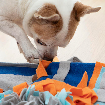 Alfombra Olfativa para Mascotas – Juego, Estimulación y Diversión en un Solo Lugar